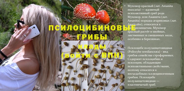 тгк Алексеевка