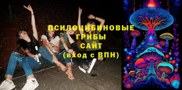 тгк Алексеевка