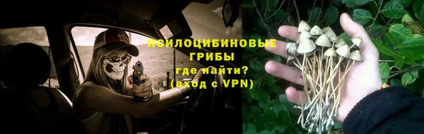 МДПВ Алзамай